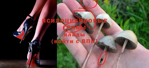 бошки Алексин