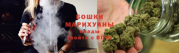 бошки Алексин